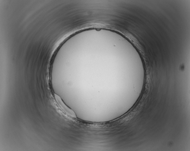 X0000115530904200911271343