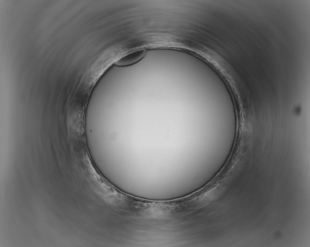 X0000115530905200911271343