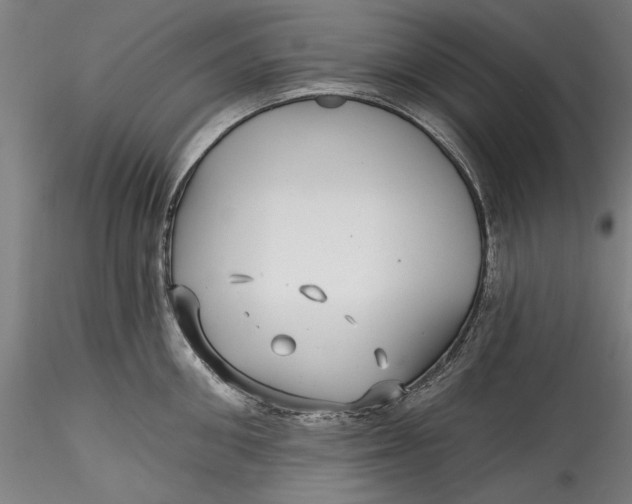 X0000115530906200911271343