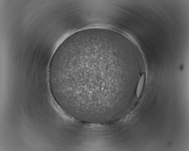 X0000115530907200911271343