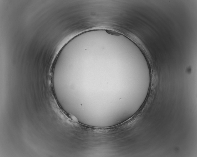 X0000115530908200911271343