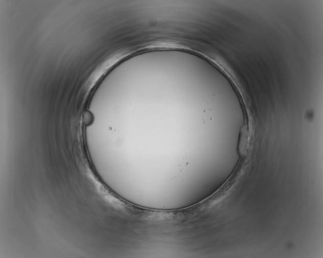 X0000115530909200911271343