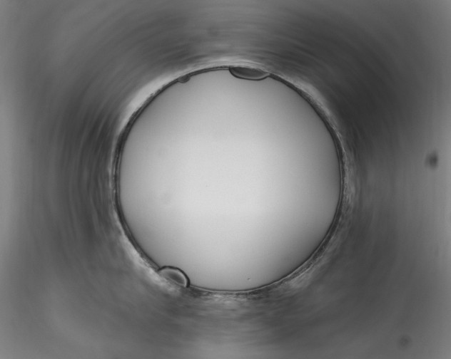 X0000115530910200911271343