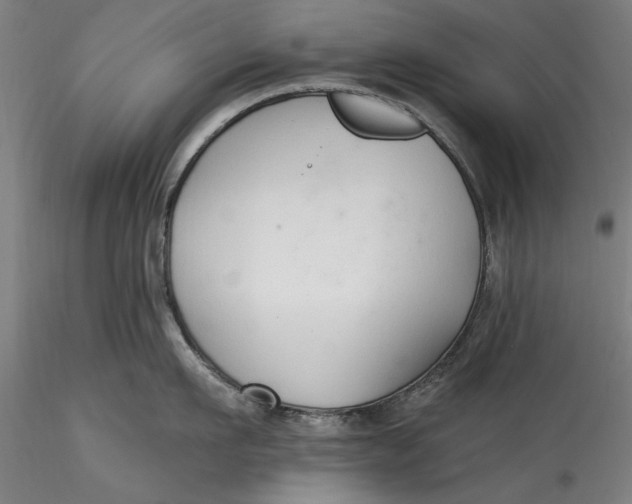 X0000115530911200911271343