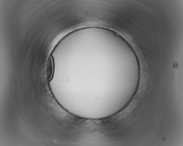 X0000115530912200911271343