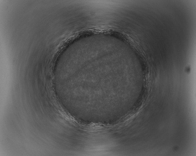 X0000115530913200911271342