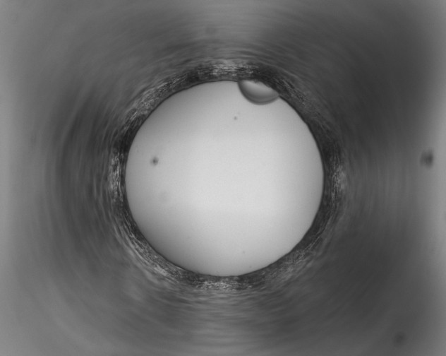 X0000115530914200911271342