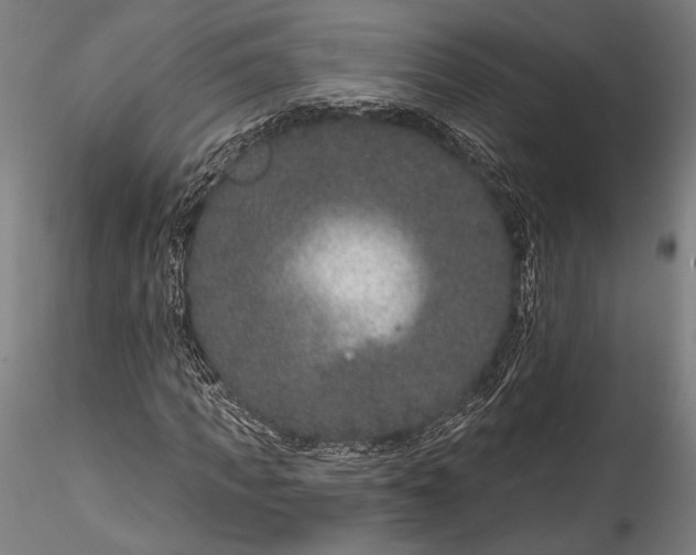 X0000115530917200911271342