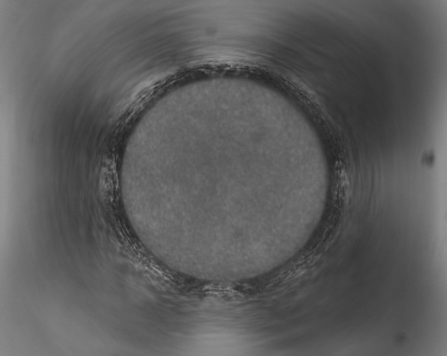 X0000115530918200911271342