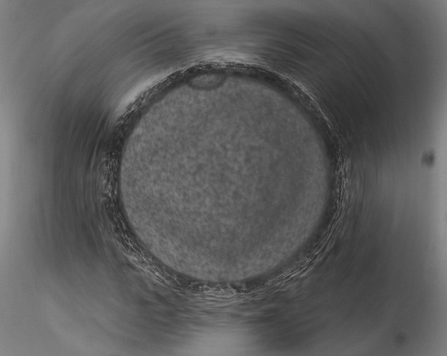 X0000115530919200911271342