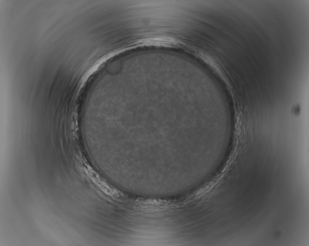 X0000115530923200911271342