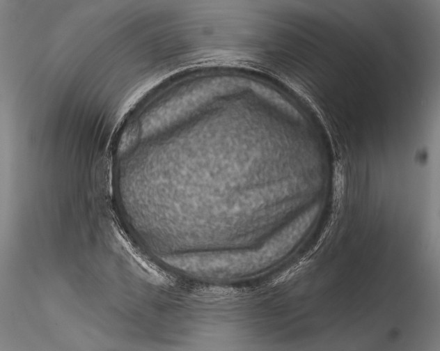 X0000115530925200911271343