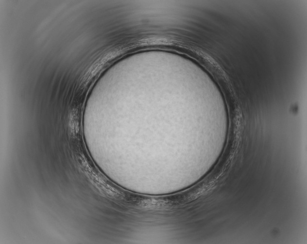 X0000115530929200911271343