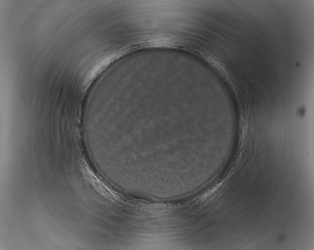 X0000115530930200911271343