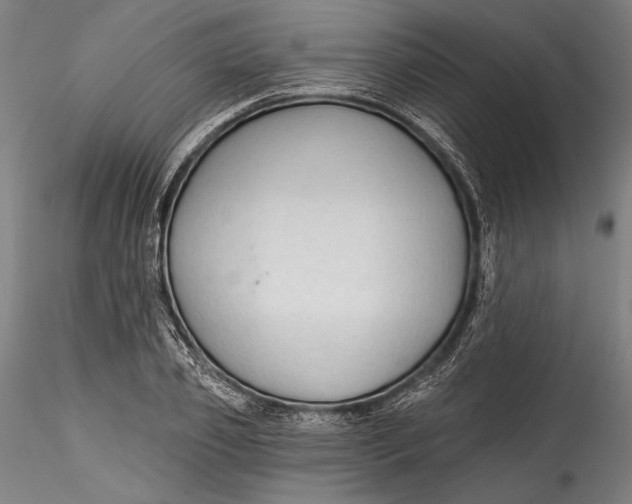 X0000115530933200911271343