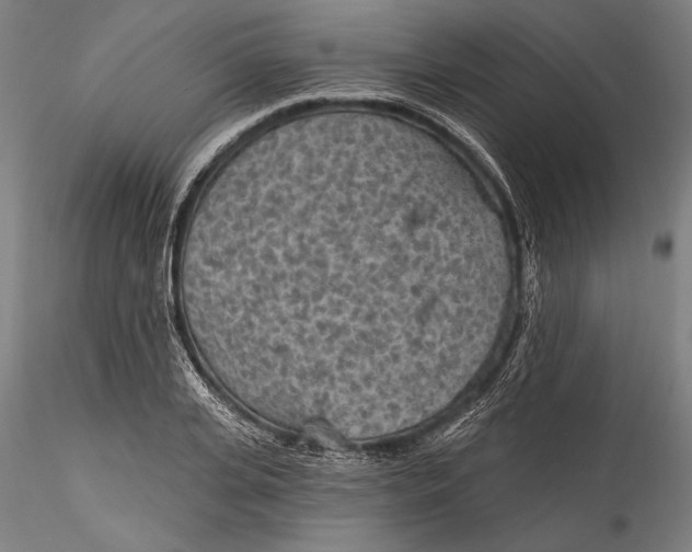 X0000115530935200911271343