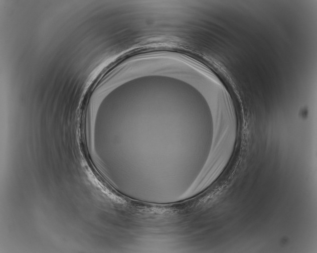 X0000115530941200911271343