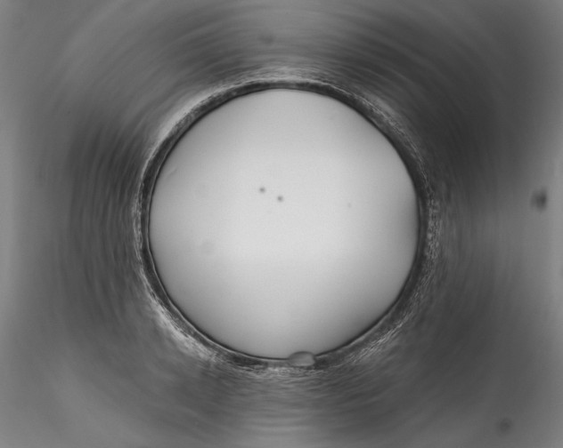 X0000115530942200911271343