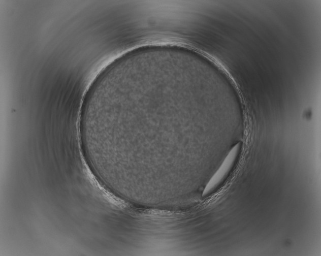 X0000115530943200911271343