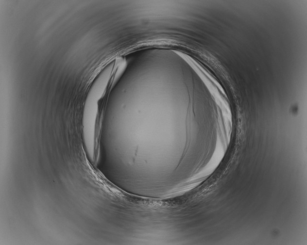 X0000115530945200911271343