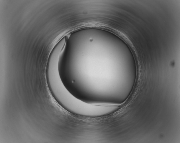 X0000115530946200911271343