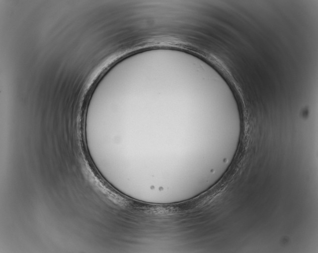 X0000115530947200911271343