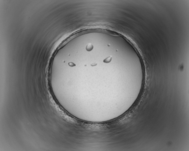 X0000115530949200911271343