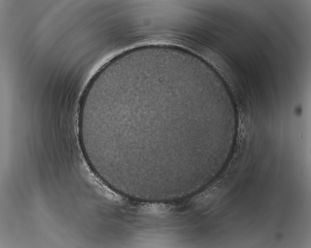 X0000115530950200911271343