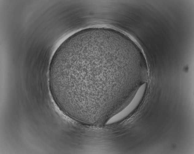 X0000115530951200911271343