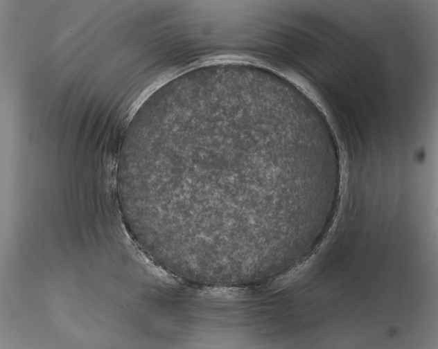 X0000115530953200911271343