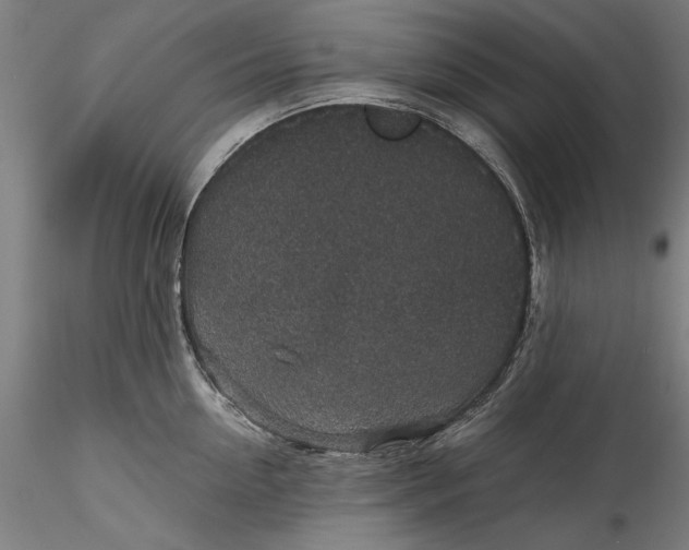 X0000115530954200911271343