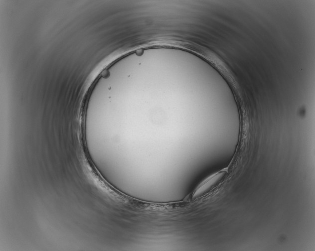 X0000115530955200911271343