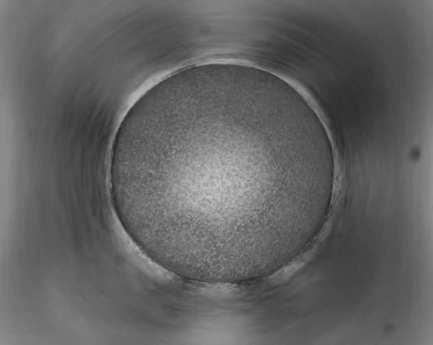 X0000115530957200911271343