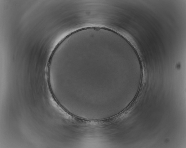 X0000115530958200911271343