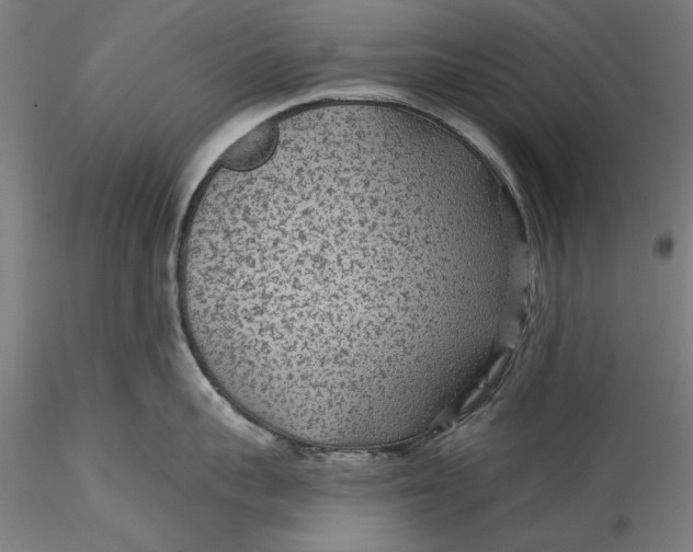 X0000115530959200911271343