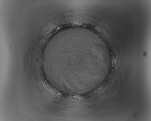 X0000115530961200911271342