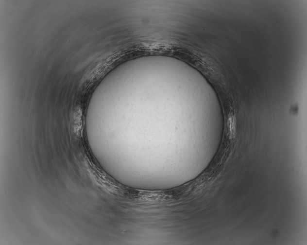 X0000115530963200911271342