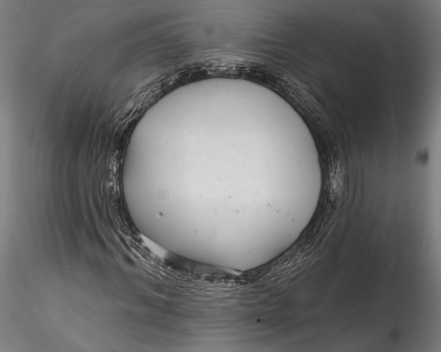 X0000115530964200911271342