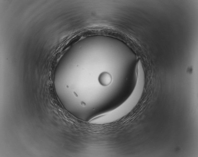 X0000115530965200911271342