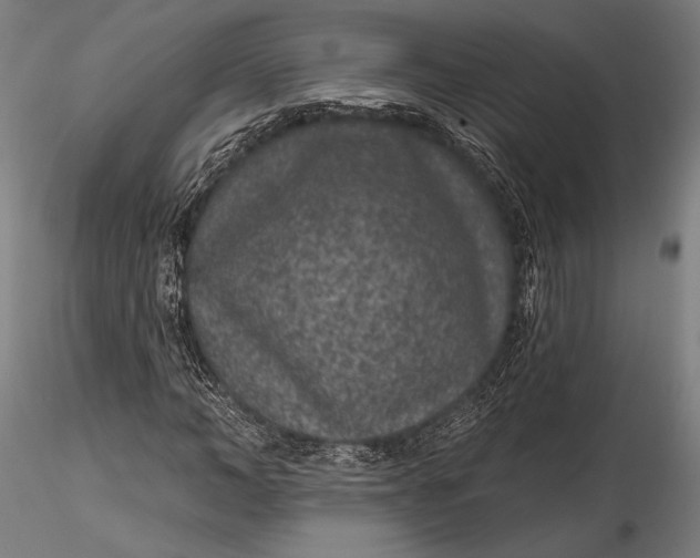 X0000115530966200911271342