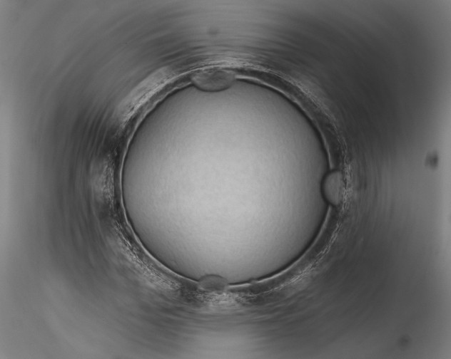 X0000115530969200911271342