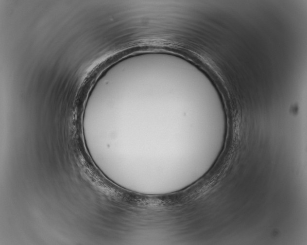 X0000115530971200911271342