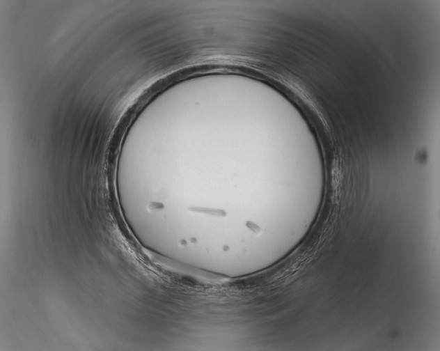 X0000115530972200911271342