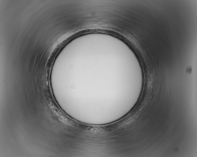 X0000115530974200911271342