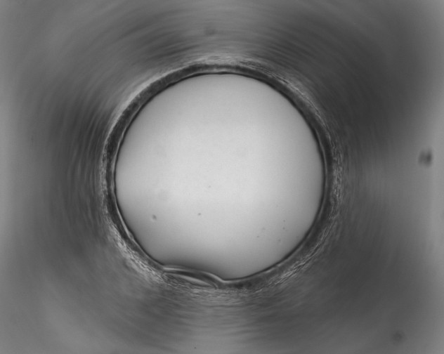 X0000115530976200911271342