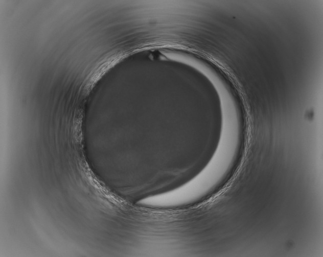 X0000115530977200911271342