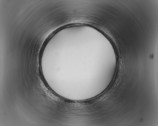 X0000115530980200911271342