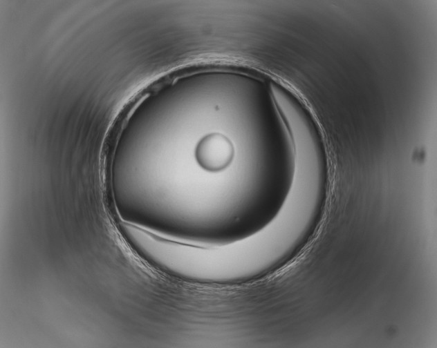 X0000115530981200911271342