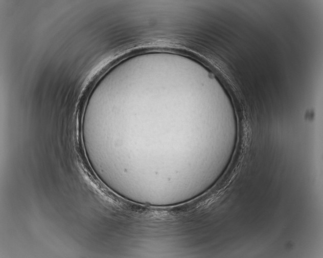 X0000115530982200911271342