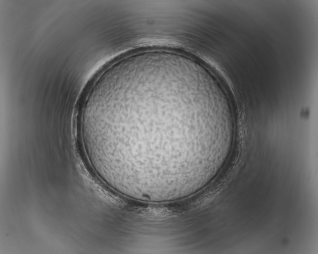 X0000115530983200911271342